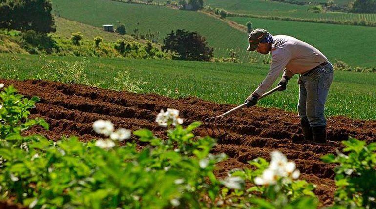 Vivir en el campo: el placer de respirar aire puro en contacto con la