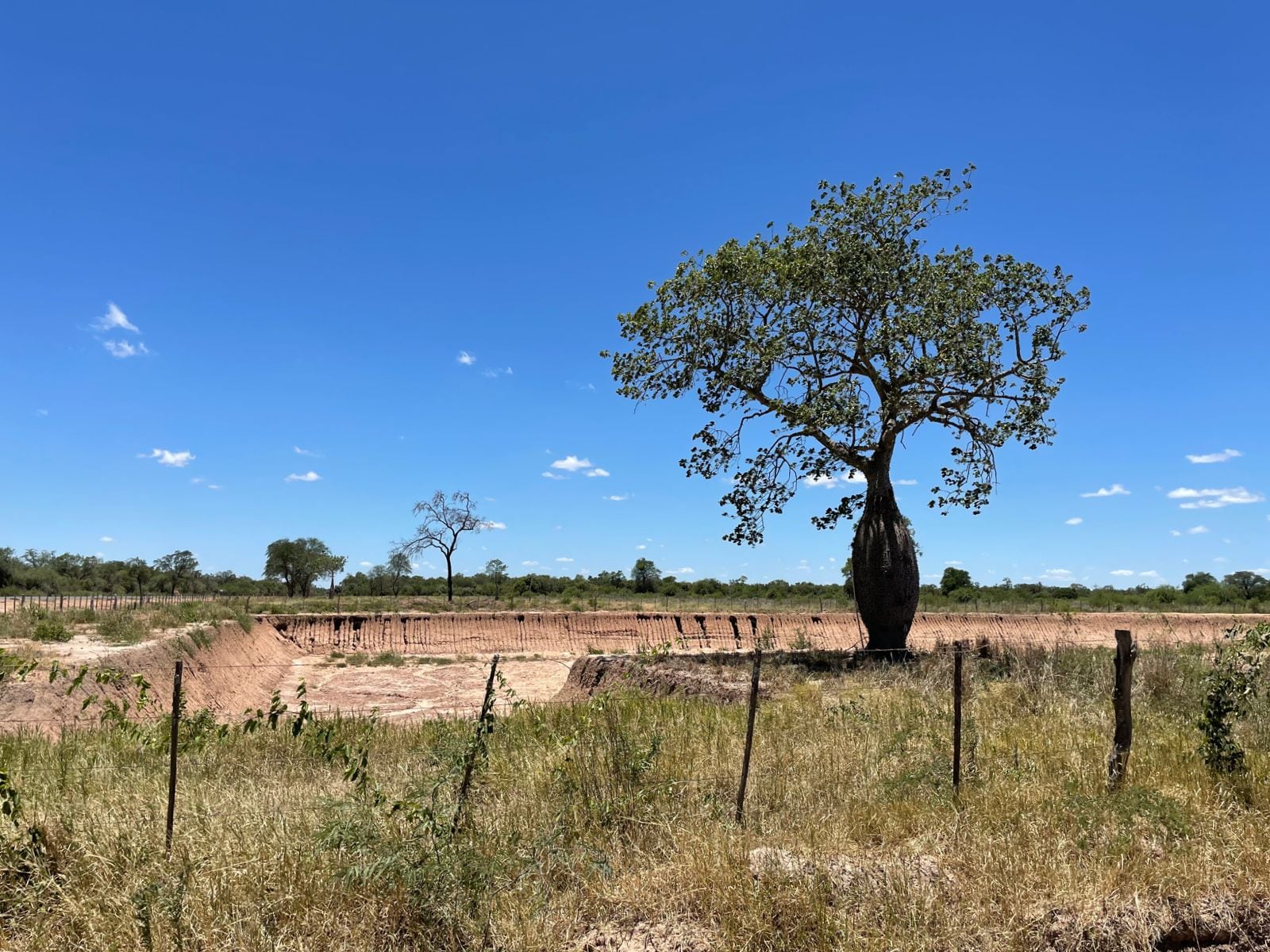 El Chaco central se acerca a su pico hist rico de calor Noticias del