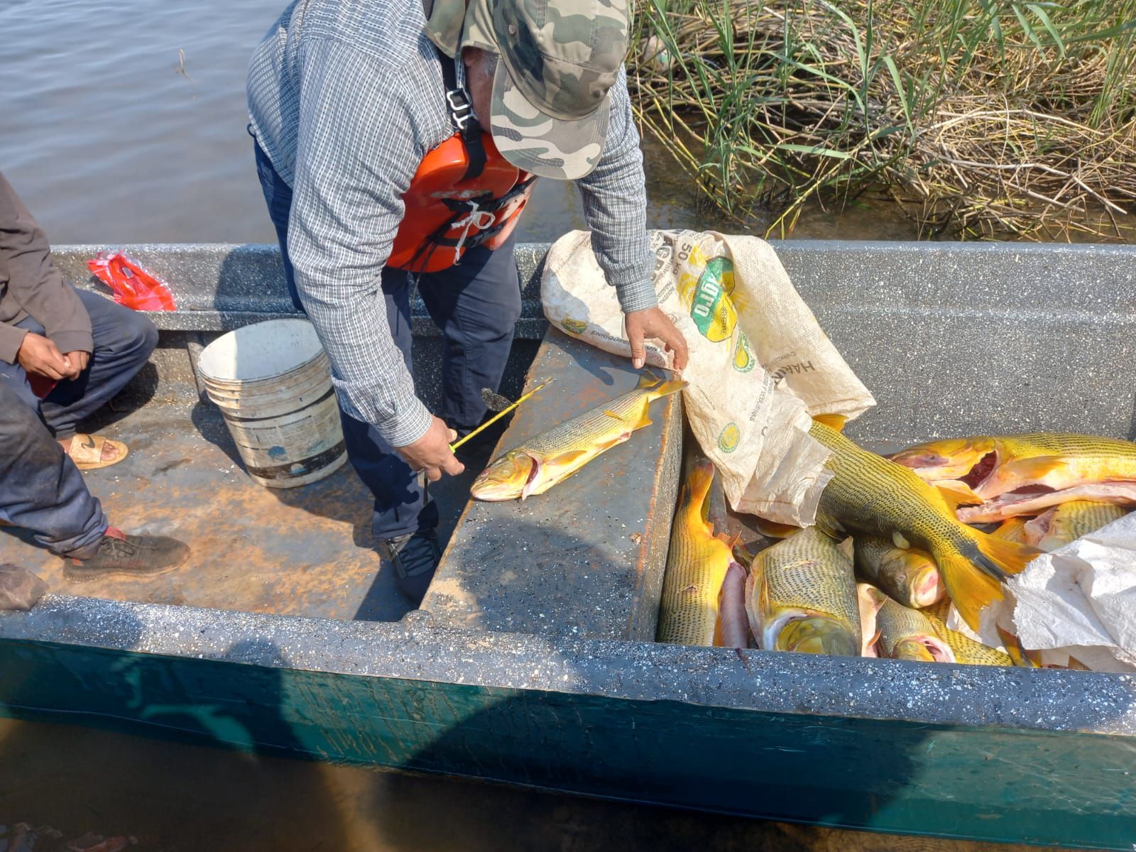 Plazo para regularizar licencia de pesca comercial vence a finales de mayo