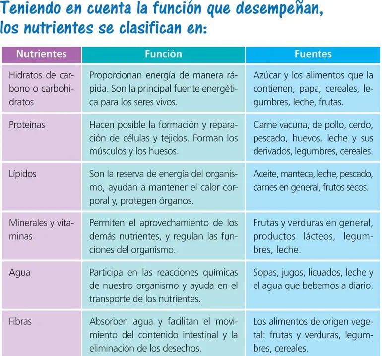 Clases De Nutrientes Escolar Abc Color 1210