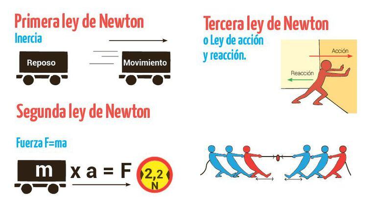 Leyes De Newton Escolar Abc Color 9608