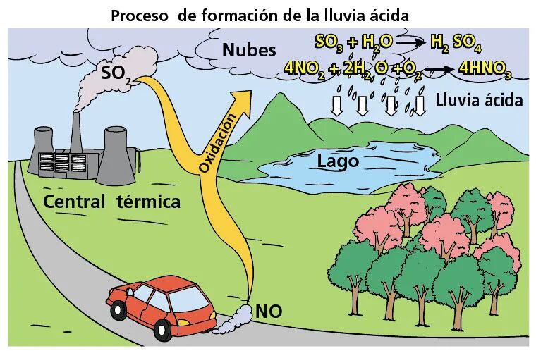 La Contaminación Escolar Abc Color 2174