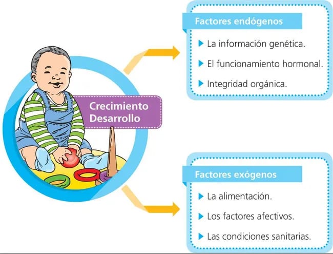 Factores Que Inciden En El Crecimiento Y Desarrollo Escolar Abc Color 8768