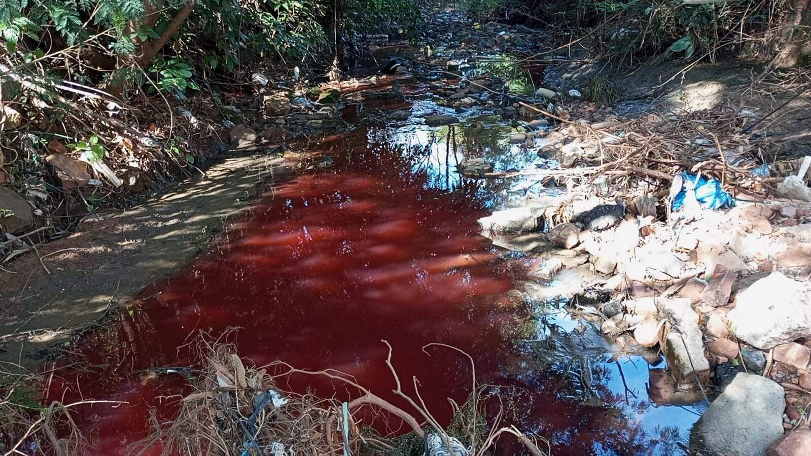 El cauce del arroyo San Lorenzo se contaminó con un químico que provenía de un laboratorio.
