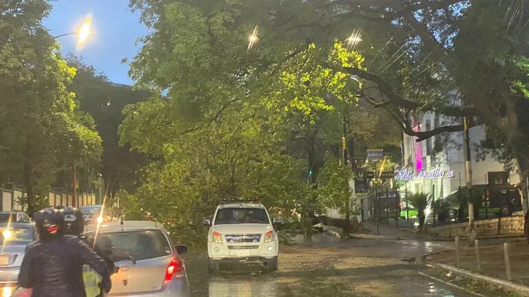 Árboles caídos en toda la ciudad de Asunción - Nacionales - ABC Color
