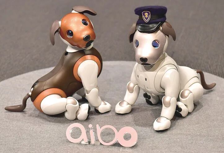 El perro robot de vigilancia inteligente: La innovación en