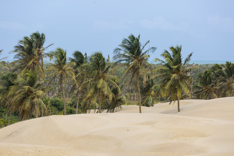 Paisaje en el Delta del Parnaíba, Brasil.