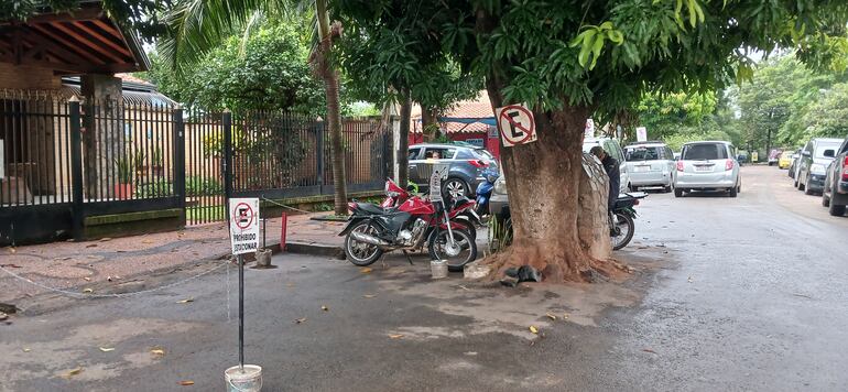 motos bajo un árbol de mango