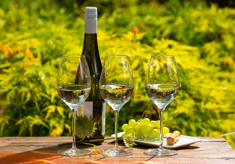 Tres copas de vino blanco, detrás se ve una botella y sobre la mesa un racimo de uvas verdes y un corcho. De fondo, plantas.