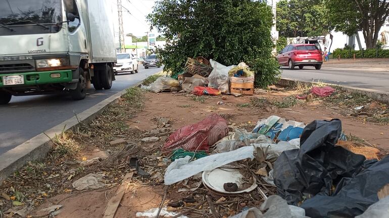 El cordón del paseo central de la Avda.Mcal. López está destruido, sucio, y desordenado.