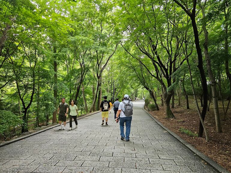 En el Expo Grand park de Gyeongju se respira tranquilidad. La música clásica en altoparlantes acompaña las caminatas.