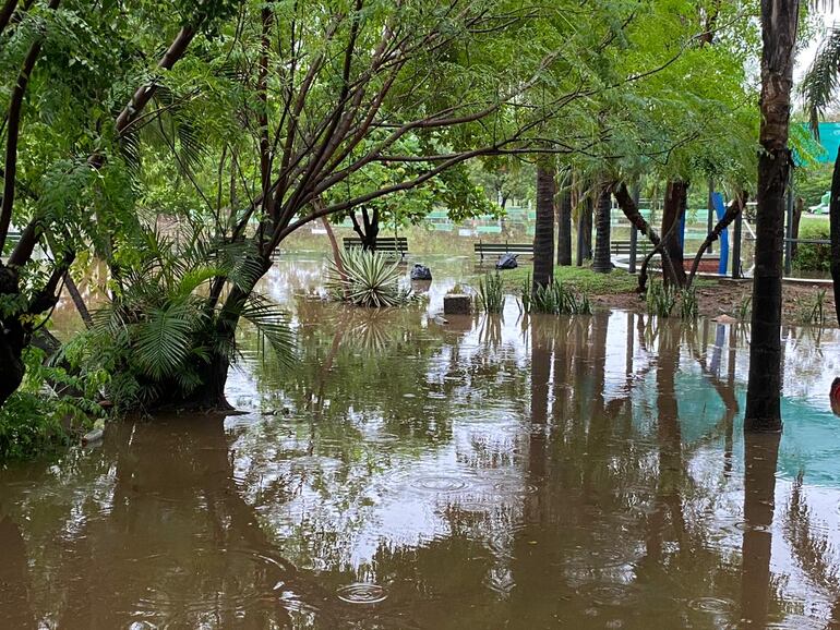 Así se encuentra el Parque Ñu Guasú este lunes, tras el temporal.