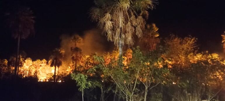 El fuego en el interior de un establecimiento ganadero cercano a la población.