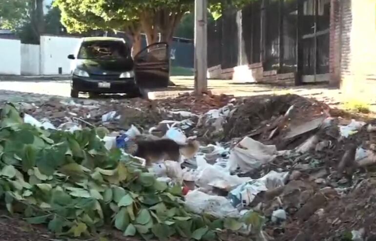 Vertedero clandestino en zona Félix Bogado.