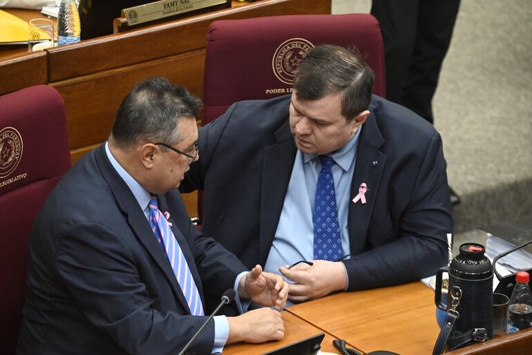 Los senadores Gustavo Leite (ANR, cartista) y Dionisio Amarilla conversan animadamente en la Cámara de Senadores.