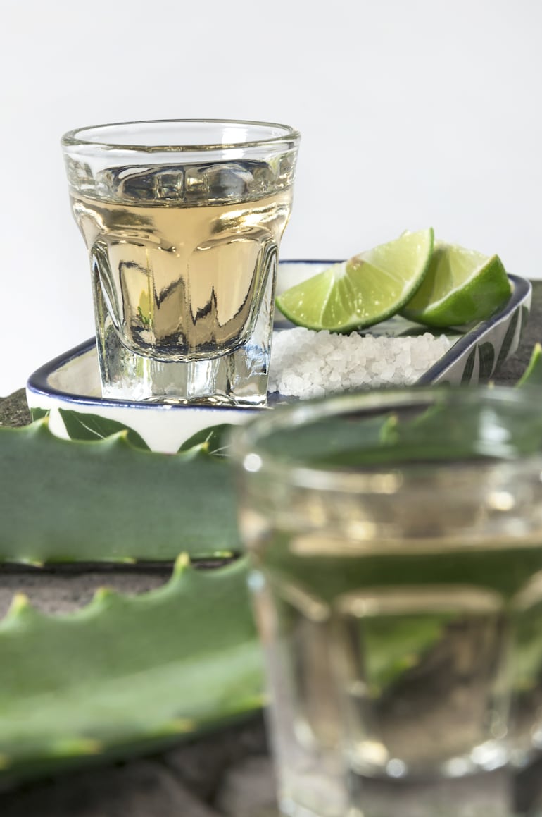 De las más de 295 especies de agave, solo el agave tequilana Weber, conocido como “agave azul”, se emplea en la producción del tequila.