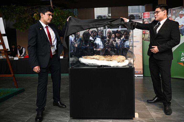 El Instituto Geológico, Minero y Metalúrgico del Perú presentó el esqueleto articulado y casi completo de un gavial fósil juvenil descubierto en Ocucaje, Ica, en el sur de Perú.