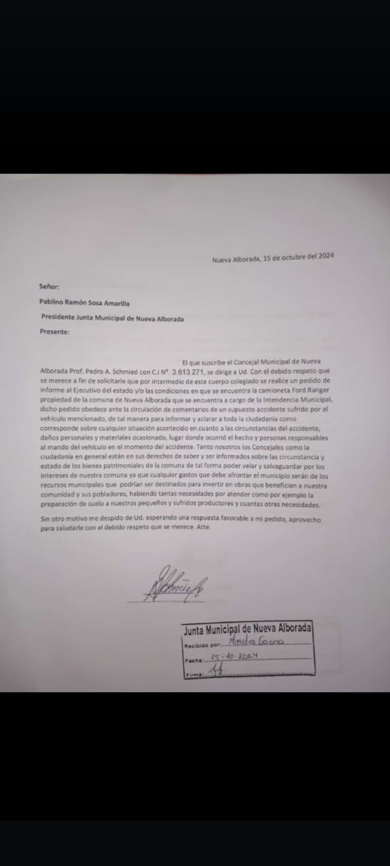 Nota de pedido de informe del concejal Pedro Schmied, con fecha de entrada 15 de octubre en la Junta Municipal.