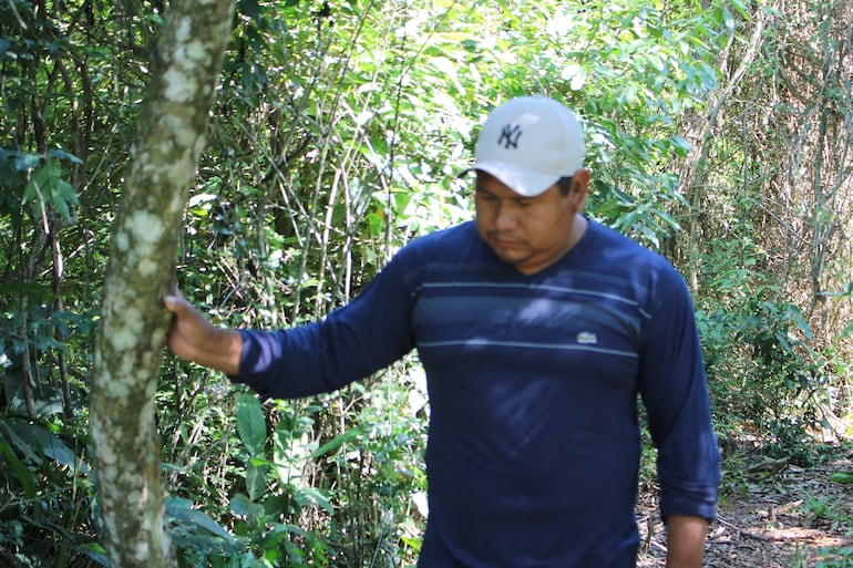 DE USO EXCLUSIVO PARA EL ESPECIAL. Miembros de la comunidad indígena Ka ́aty Miri San Francisco, ubicada en Caapibary, San Pedro, a unos 240 kilómetros de Asunción. Los integrantes logran salvar sus cultivos de yerba y plantaciones de variados productos para venta y autoconsumo, en medio del avance del monocultivo de soja, el uso de venenos dañinos y la cruda sequía que afecta a la zona.