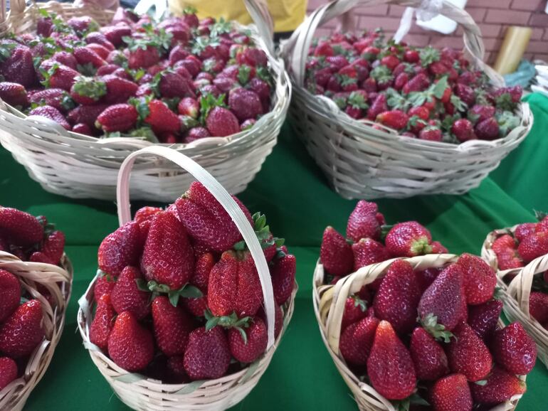 Está vigente la venta de frutillas con delivery gratuito a Asunción y Gran Asunción.