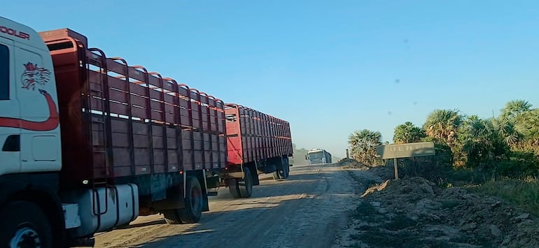 Los productores trasladan gran cantidad de sus animales a otras regiones del país, debido a la sequía en la zona.