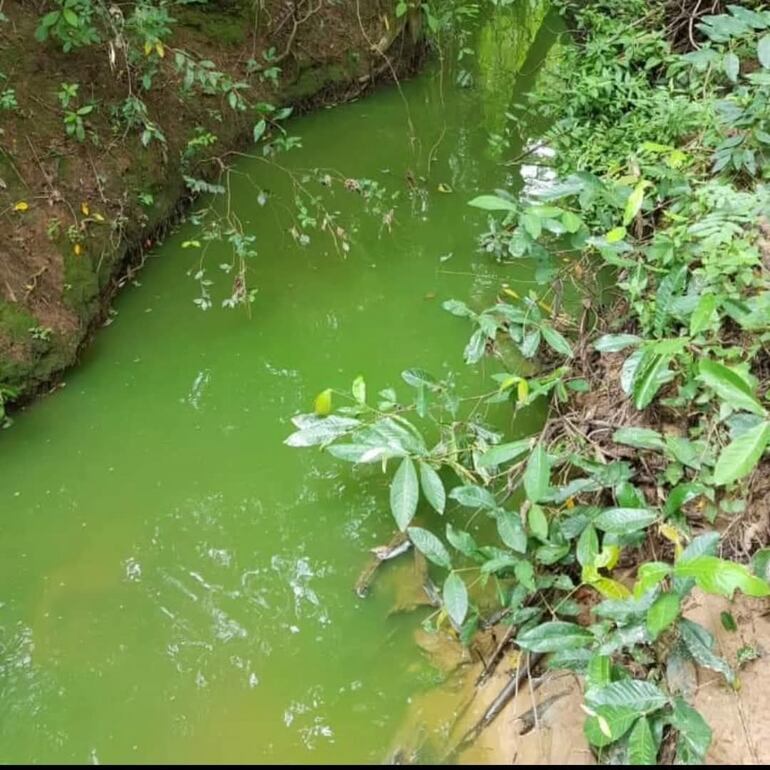 Aguas residuales "tratadas", que son vertidas por la Planta de Tratamiento de Pindoty.