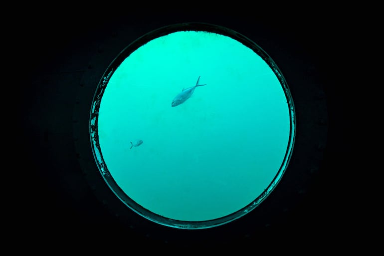 Peces son vistos a través de una ventana del SeaPod Alpha Deep, donde el ingeniero aeroespacial alemán Rudiger Koch, de 59 años, está intentando romper el récord mundial de vivir dentro de una habitación submarina frente a la costa de Puerto Lindo, Panamá.






