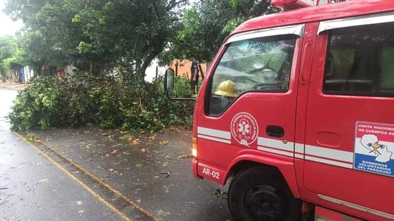 El temporal que afectó ayer al departamento de Paraguarí dejó varios árboles caídos y cables sueltos. 