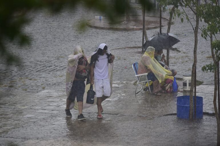 Búsqueda de refugio ante la lluvia. 