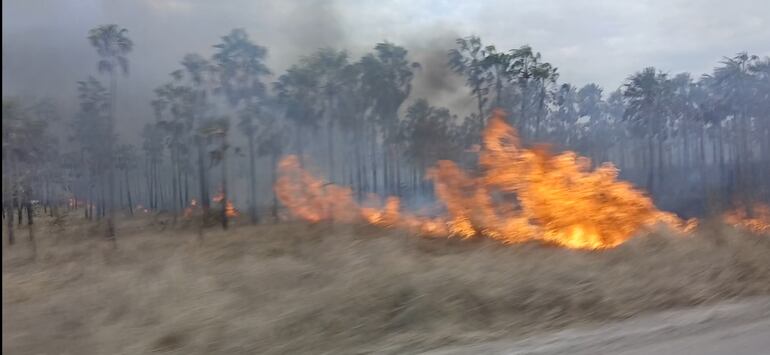 En cuestión de minutos el fuego destruyo kilómetros de campo en Fuerte Olimpo la semana pasada.