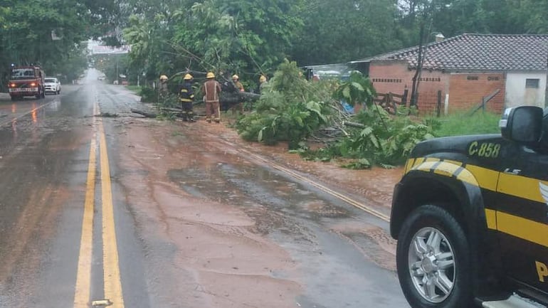 Árbol caído en plena ruta en Itacurubí de la Cordillera.