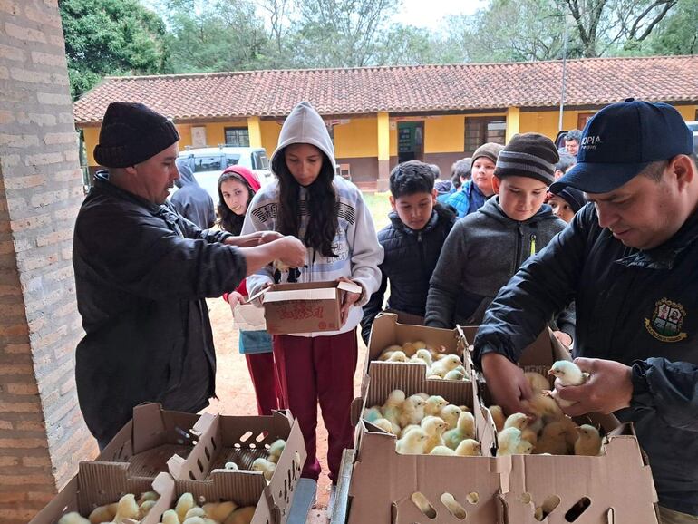 Entregan pollitos y balanceados en el marco del proyecto Topa Ñembyahýi en Yaguarón.