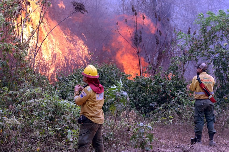 Bomberos trabajan apagando un incendio este viernes en la comunidad de Palestina (Bolivia).