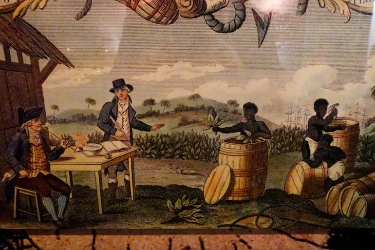 Plantación de tabaco con esclavos. Grabado, 1759