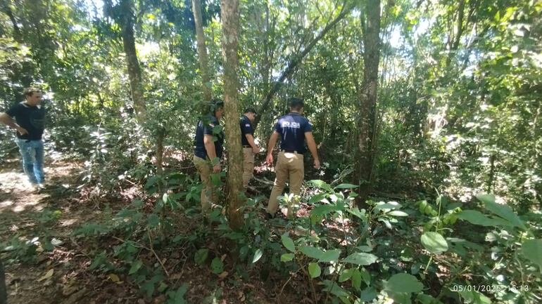 Sexagenario murió aplastado por un árbol mientras buscaba leña.