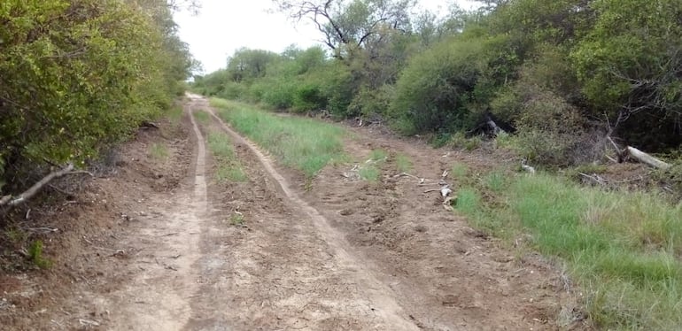 Precaria reparación del camino para llegar a la zona de Karanda`yty entre montes. No se colocaron los tubos de desagües, y con las lluvias que se están registrando, los pobladores quedarán de nuevo aislados por varios meses.