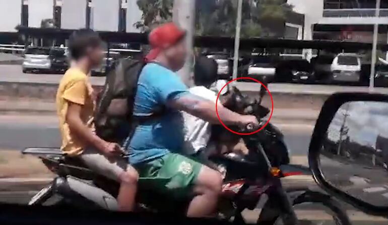 Denuncian irresponsabilidad de un padre que llevaba a sus hijos y un perro sin casco sobre avenida principal.