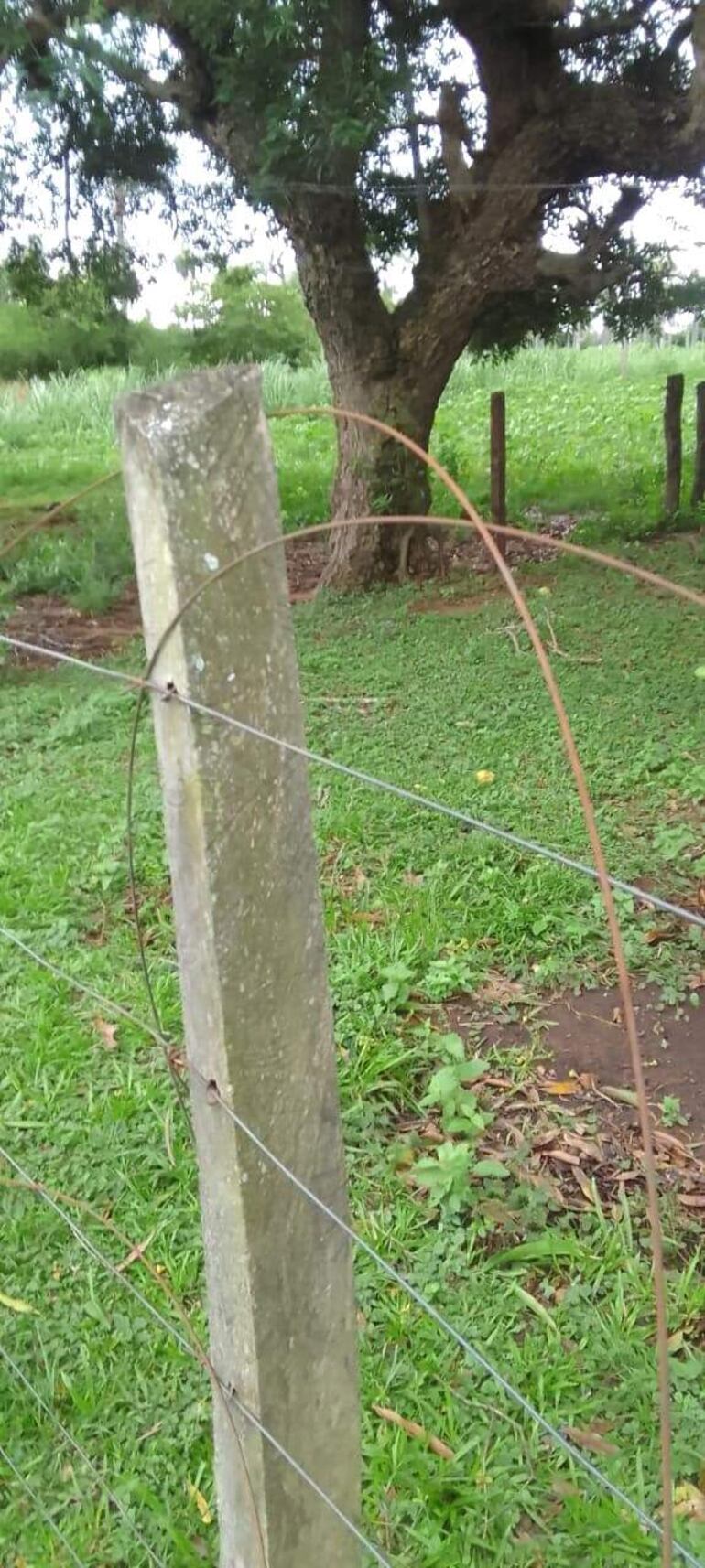 En la compañía Veni Loma reportaron también que aún están sin energía eléctrica.