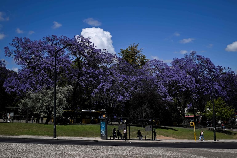 La gente espera en una estación de autobuses bajo los jacarandas en el Parque Eduardo VII, en Lisboa.