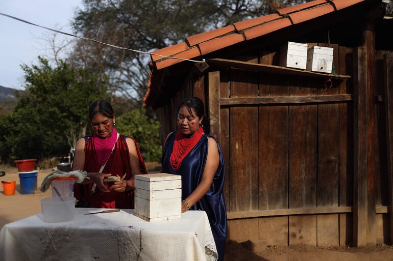 Apicultoras guaraníes trabajando, en Totorenda (Bolivia). La miel producida por las abejas señoritas o nativas ha sido parte de la vida de las comunidades guaraníes de Bolivia desde siempre y ahora es un componente importante en la búsqueda de autonomía económica de mujeres que, además de ser apicultoras, cuidan los bosques del Chaco en Chuquisaca. 
