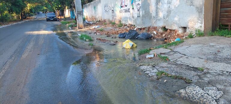 La vereda es constantemente utilizada, además, como vertedero irregular de basura.