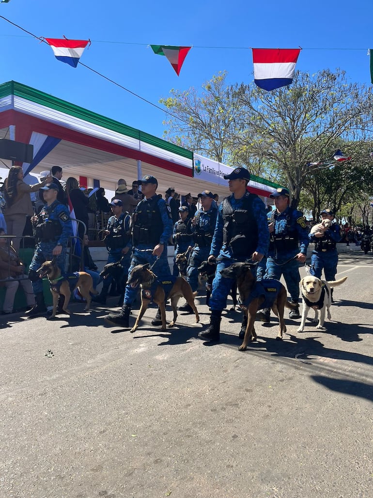 La agrupación de canes de la Policía Nacional desfiló por el aniversario.