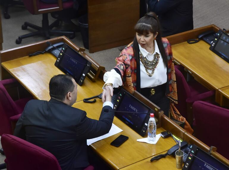 Reunión de la Comisión de Asuntos Constitucionales del Senado, horas antes de la sesión.