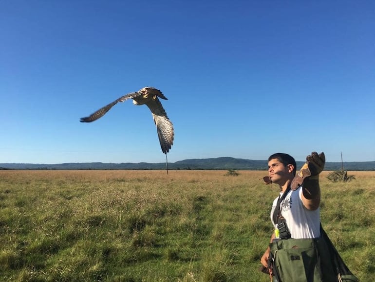 Raúl Palacios Princigalli, propietario de Raptor y especialista en el manejo de halcones.