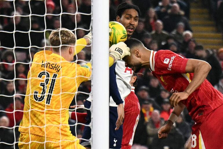 Tottenham Hotspur's Czech goalkeeper #31 Antonin Kinsky saves a shot from Liverpool's Dutch striker #18 Cody Gakpo during the English League Cup semi-final second leg football match between Liverpool and Tottenham Hotspur at Anfield in Liverpool, north west England on February 6, 2025. (Photo by Oli SCARFF / AFP) / RESTRICTED TO EDITORIAL USE. No use with unauthorized audio, video, data, fixture lists, club/league logos or 'live' services. Online in-match use limited to 120 images. An additional 40 images may be used in extra time. No video emulation. Social media in-match use limited to 120 images. An additional 40 images may be used in extra time. No use in betting publications, games or single club/league/player publications. / 