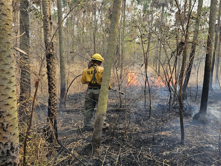 Un bombero de la SEN en pleno combate al fuego en la zona de Fuerte Olimpo.