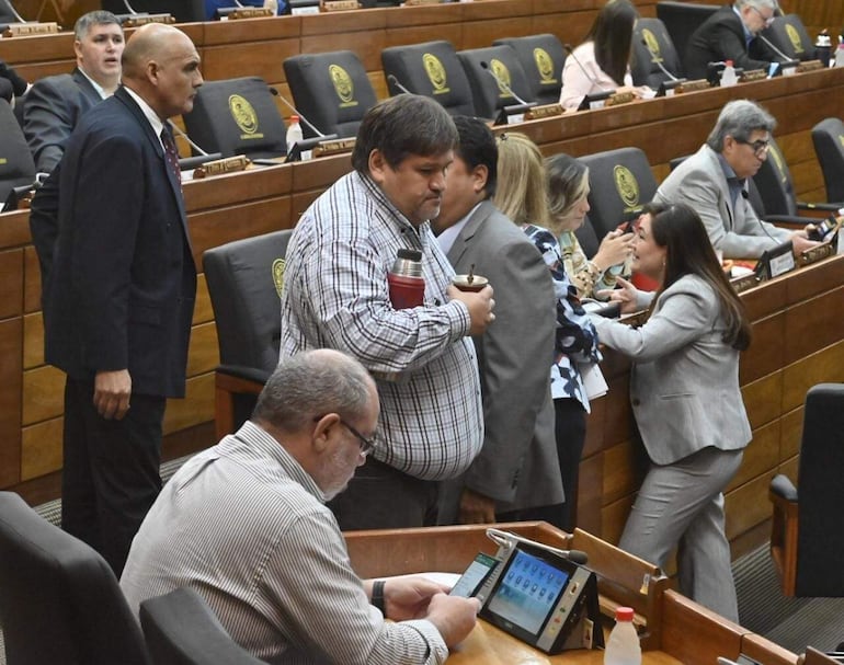 El diputado Néstor Ferrer (ANR, HC), termo en mano, fue el principal defensor de este proyecto de indemnización.