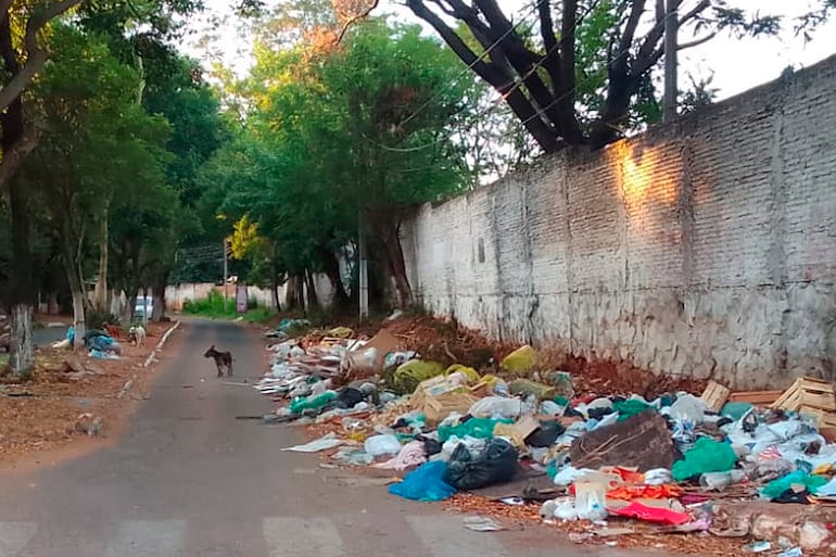 Una gran cantidad de basuras, entre residuos y restos de animales, se acumulan en un minivertedero clandestino instalado en inmediaciones del Club Atlético Colegiales de Lambaré.