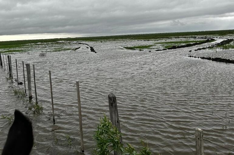 Zona del Estero Patiño, con aguas bajas que llegan del rio PIlcomayo.