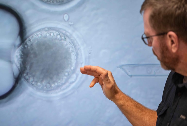 El jefe de Biología Celular y Transferencia Nuclear, Todd Vaught, explica cómo se elimina el ADN de un ovocito antes de ser inyectado con modificaciones genéticas en los Laboratorios Revivicor en Blacksburg, Virginia.